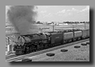 Photo: UP Challenger 3985 eastbound near Cheyenne, WY