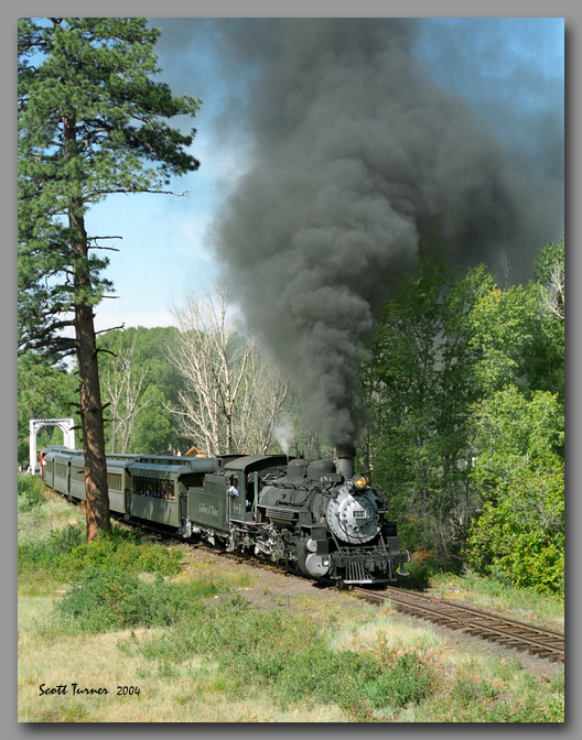 Photo: Cumbres & Toltec #484 passes Jukes' tree